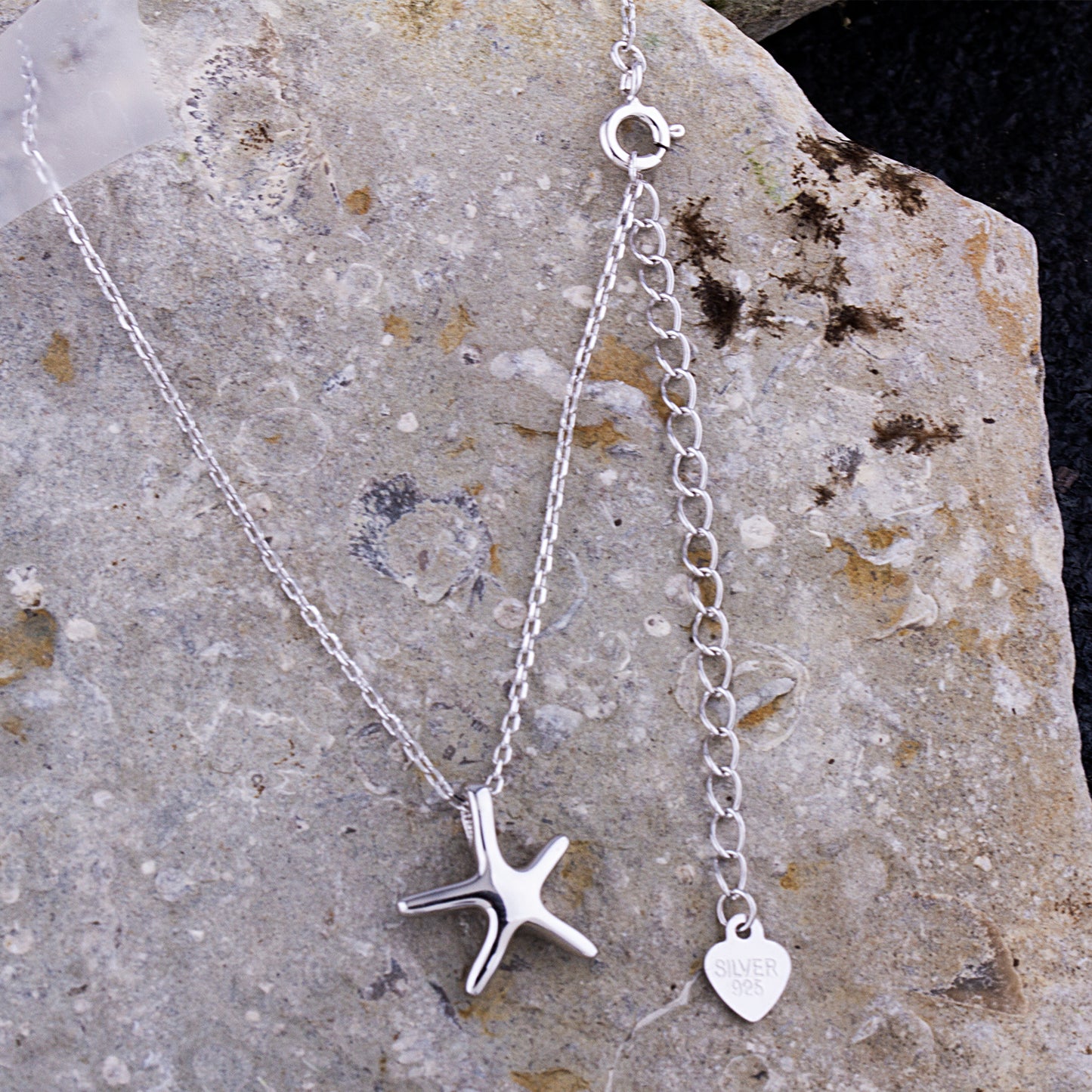 Sterling Silver Starfish Pendant on Necklace - NTP012S